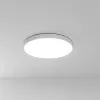 Потолочный светильник Arte Lamp FADO A6699PL-1WH | Дом Декора