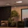 Потолочный светильник Arte Lamp FADO A7320PL-1BK | Дом Декора