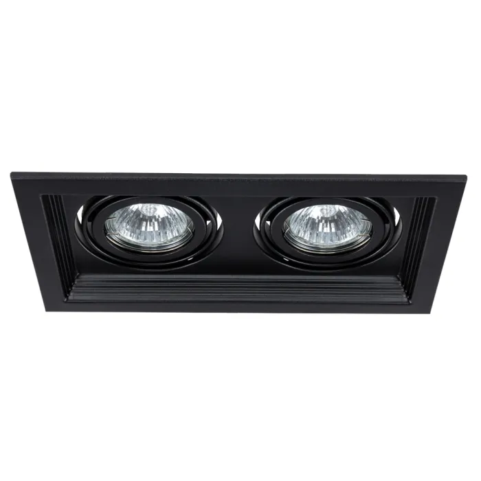 Точечный встраиваемый светильник Arte Lamp CANIS A6661PL-2BK | Дом Декора