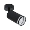 Спот Arte Lamp IMAI A2365PL-1BK | Дом Декора