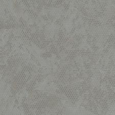 Обои Zambaiti parati Lamborghini 2 Z90030