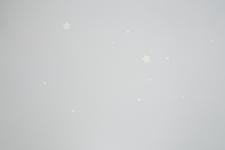 Обои Palitra Dream HC72162-14