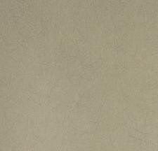 Обои Bernardo Bartalucci Legend 5068-38