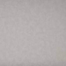 Обои NC Color 4050-020