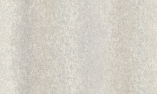 A55205