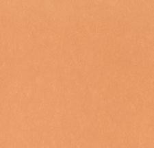 Обои Bernardo Bartalucci Legend 5068-59