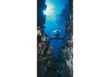 Фотообои Komar  2-1002