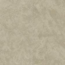 Обои Zambaiti parati Lamborghini 2 Z90026