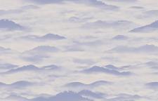 Обои Loymina Clair Clair CLR4-006