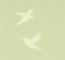 Обои Bernardo Bartalucci Legend 5071-6