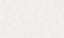 Обои WallSecret Redwoods Red8706-03