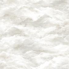 Обои Alessandro Allori Barbara 2601-5 RWA